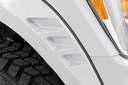 Ford F150 2021 - Fender Flares 1