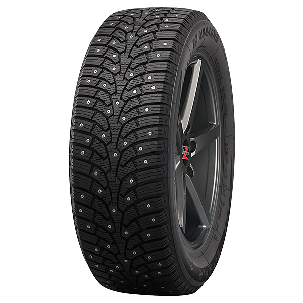 225/50R18 99T NANKANG SW-9