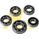 5 Laakerin Sarja Jakolaatikko Suzuki
