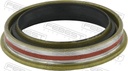 Drive shaft seal Rear