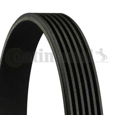 Fan Belt 6PK1555