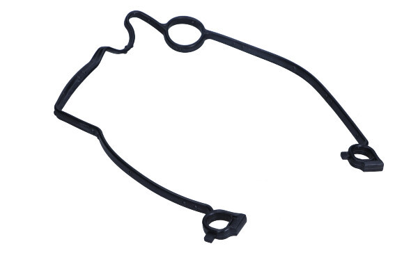 Oil Pump Gasket