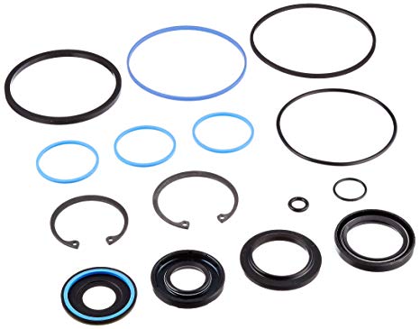 Steering gear rebuild kit