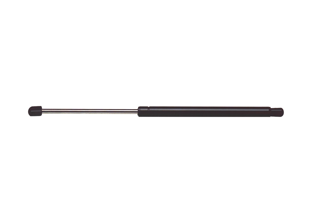 Trunk lift support