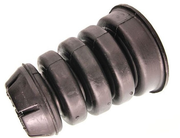 Spring Hollow Rear