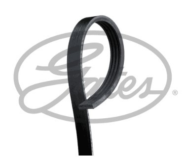 Belt, Jimny