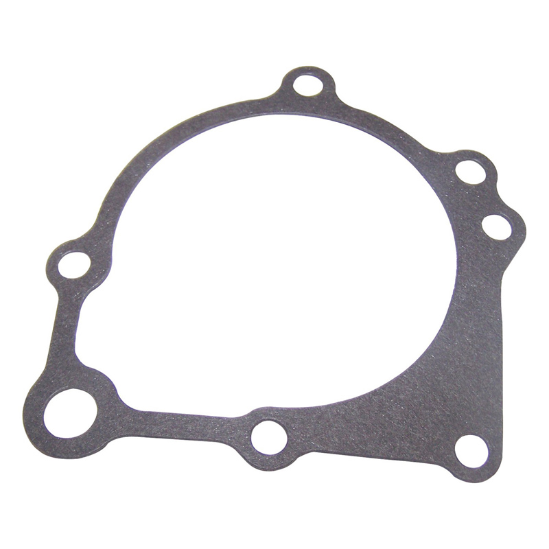 Water Pump Gasket 99-06