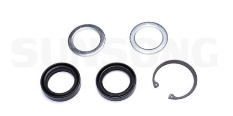 Steering Gear Seal Kit Lower