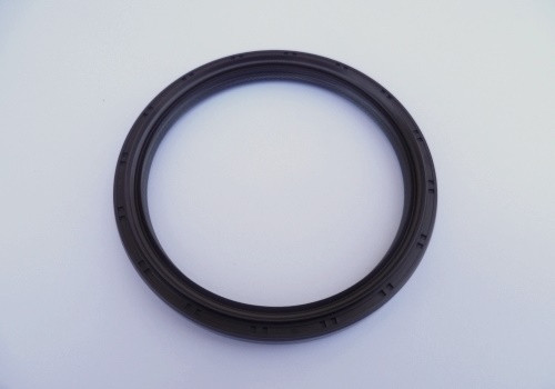 Crankshaft Shaft Seal Rear