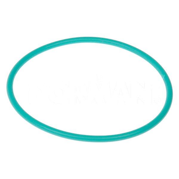 Fuel pump seal
