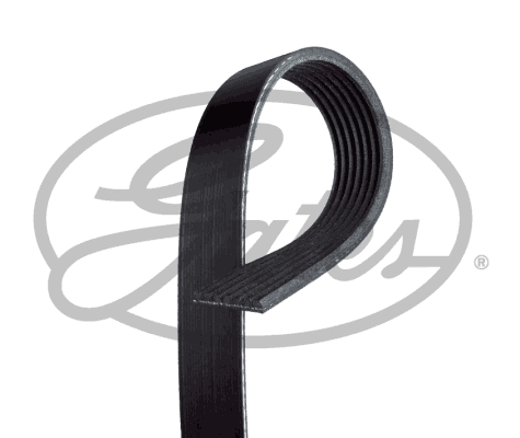 driv rem Ford 7PK3133