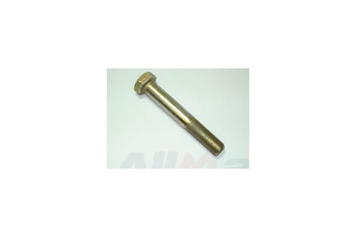 Rear Lower Controlarm axle side bolt