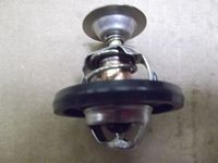 termostat 300Tdi (78 graderree)