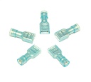 Insulated Terminals