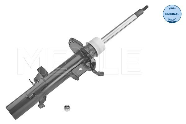 Shock Absorber, Front, Right, Freelander 2