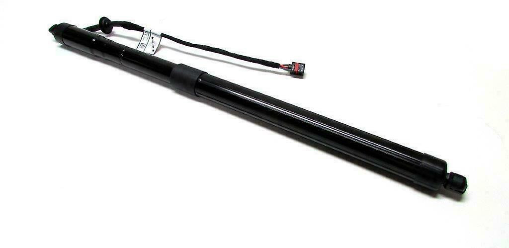 Tail gate - Trunk - lifter / damper electric
