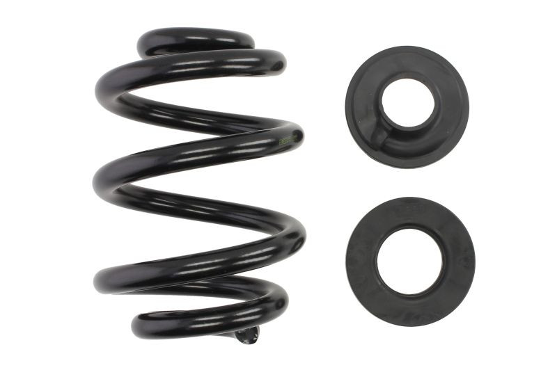 Coil spring 1pc Rear Lesjöfors