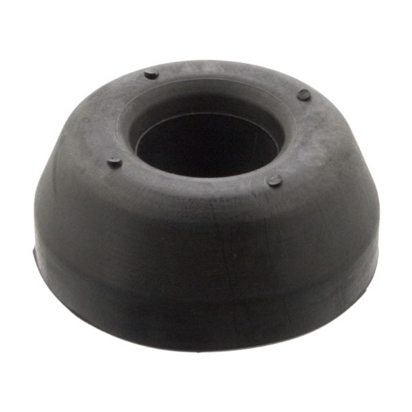 Rear control arm bushing