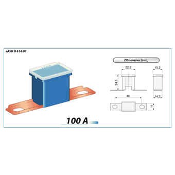 MAIN FUSE 100A BLUE
