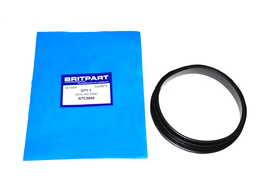 Fuel pump seal