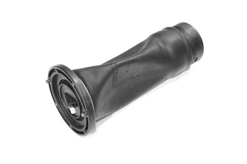 Luftfjäder bak D2 1st