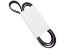 SERPENTINE BELT