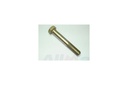 Rear Lower Controlarm axle side bolt