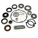 NP242 Master Bearing and Seal Kit