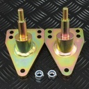 PAIR OF LOWERED TOP MOUNT REAR SHOCKS ABSORBER