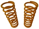 REAR HD SPRINGS + 10 CM